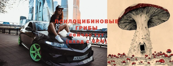 прущие крисы Абинск