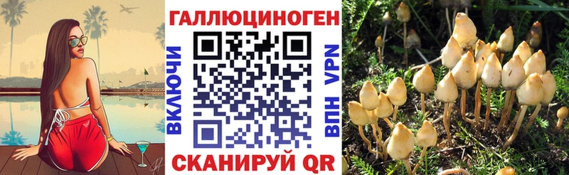 Галлюциногенные грибы Cubensis  хочу   Нижние Серги 